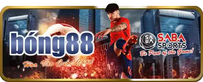 Đá gà hl88 casino